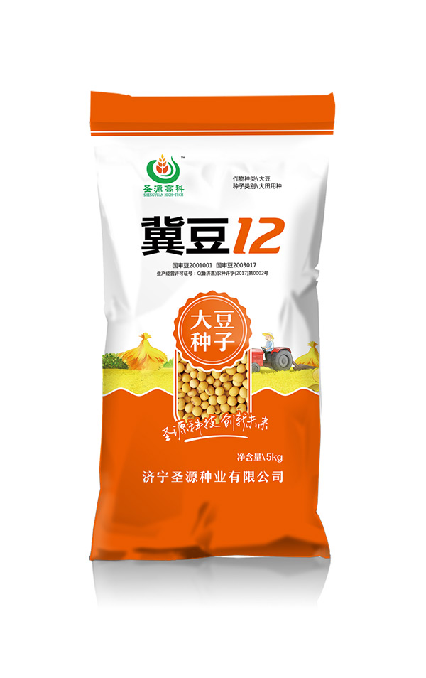 冀豆12