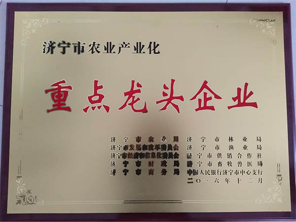 荣誉资质