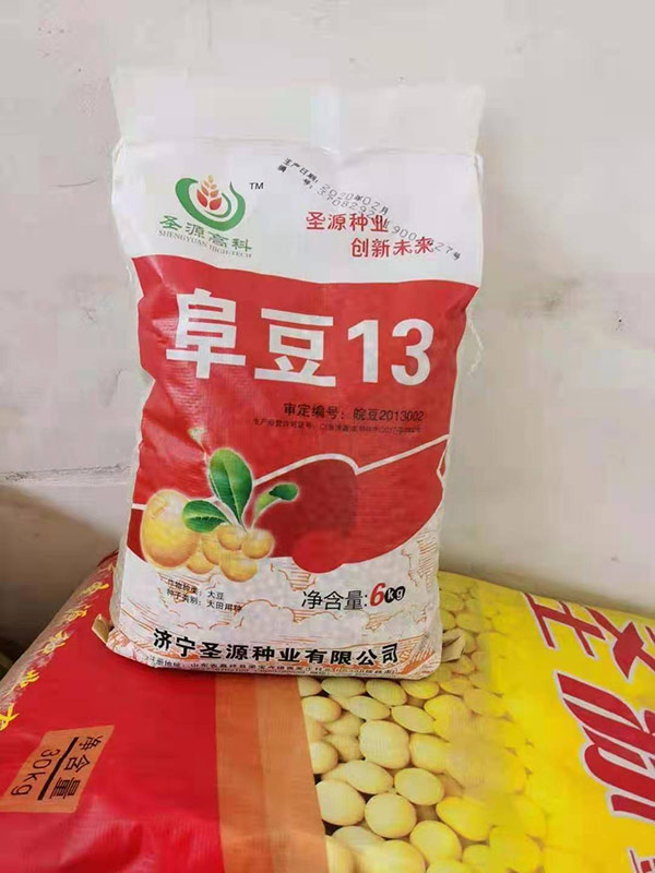 阜豆13