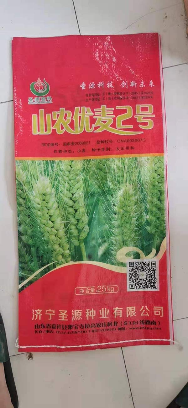 山农优麦2号
