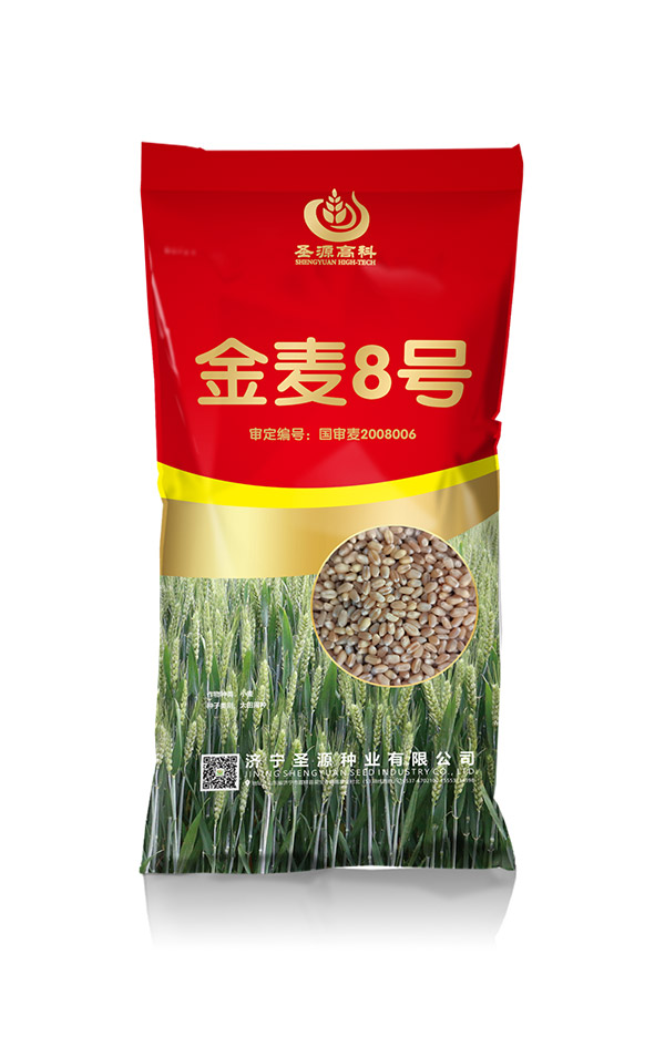 金麦8号 