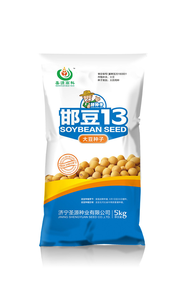 邯豆13